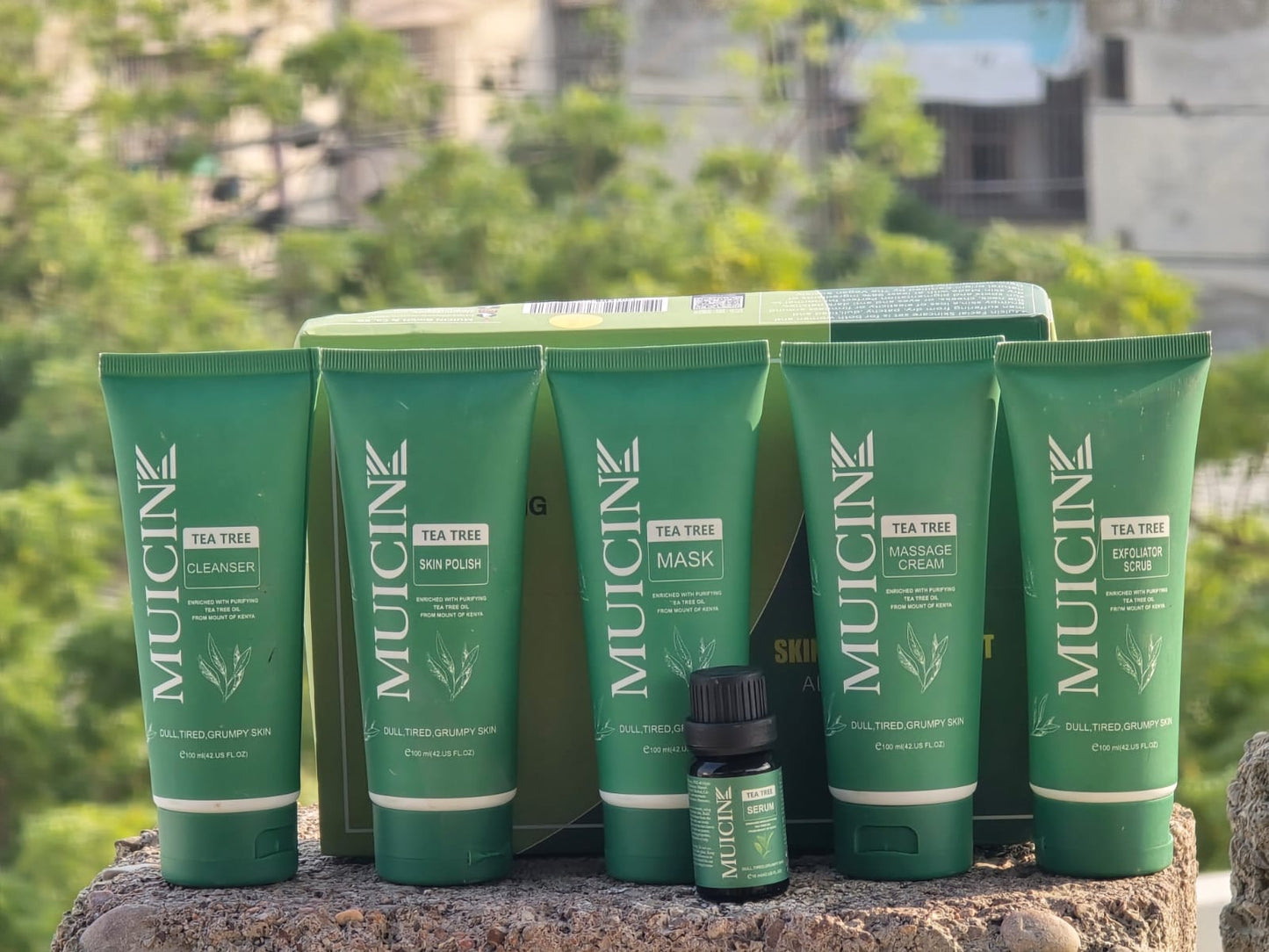 Tea Tree Clear & Clean Facial Kit